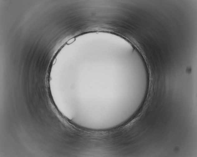 X0000115550893200912181550