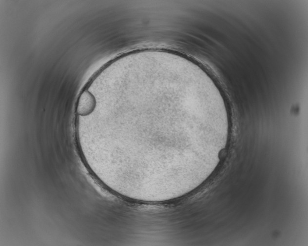 X0000115550894200912181550