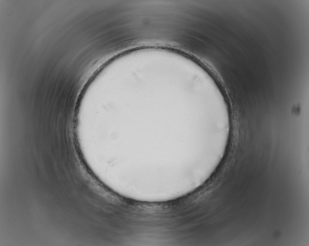 X0000115550895200912181550