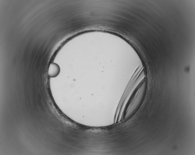 X0000115550896200912181550