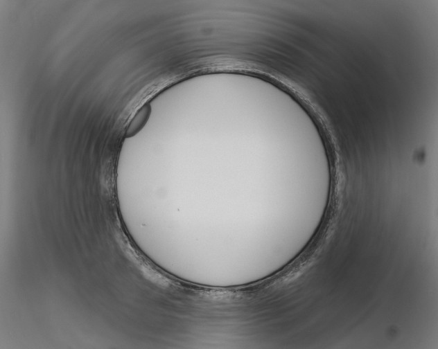 X0000115550897200912181550