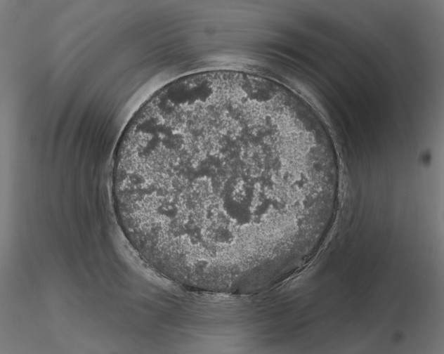 X0000115550899200912181550