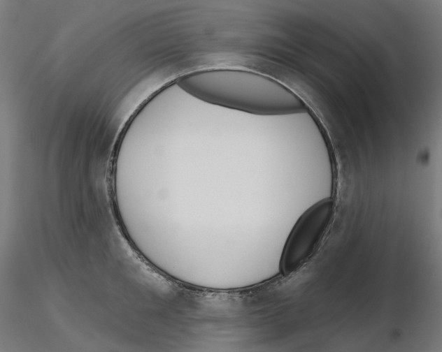 X0000115550901200912181550