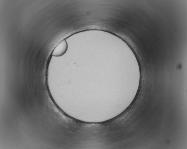 X0000115550902200912181550