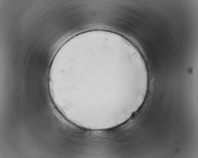 X0000115550903200912181550