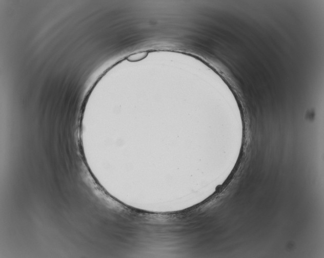 X0000115550904200912181550