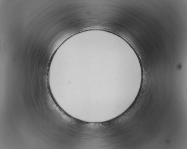 X0000115550906200912181550