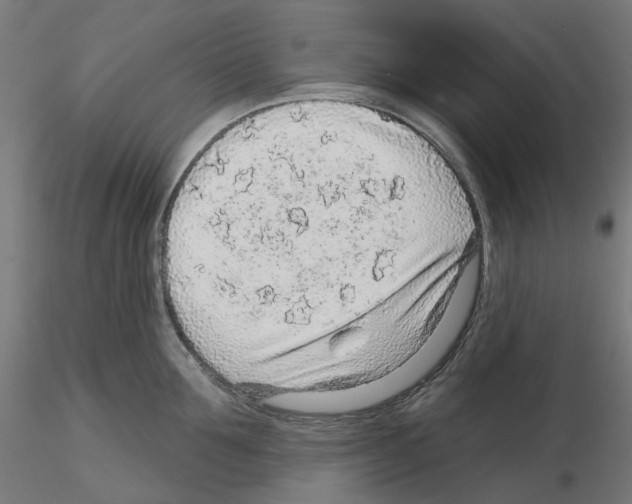 X0000115550907200912181550