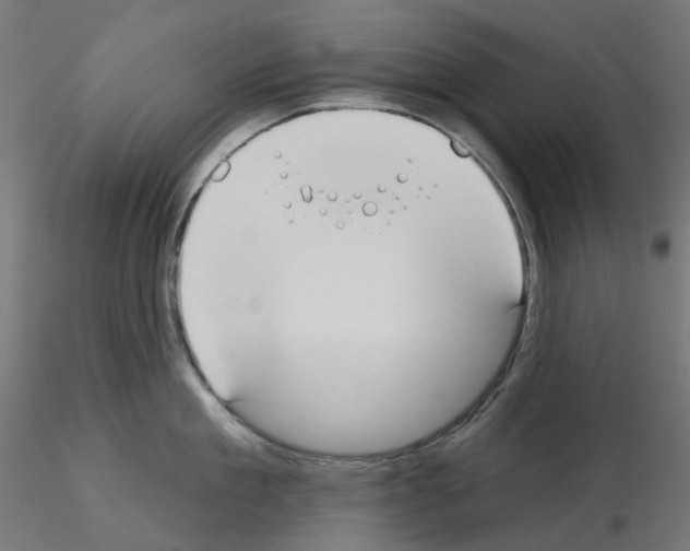 X0000115550909200912181550