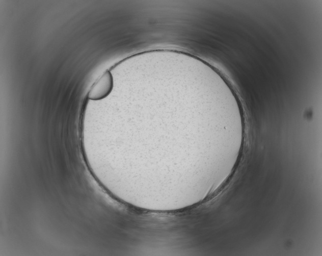 X0000115550910200912181549