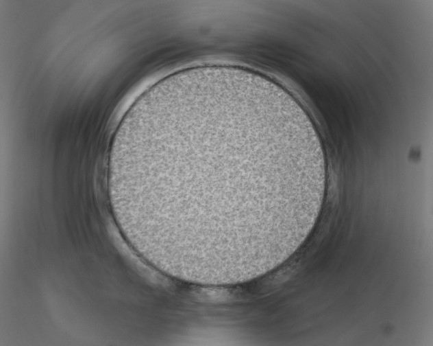 X0000115550911200912181549