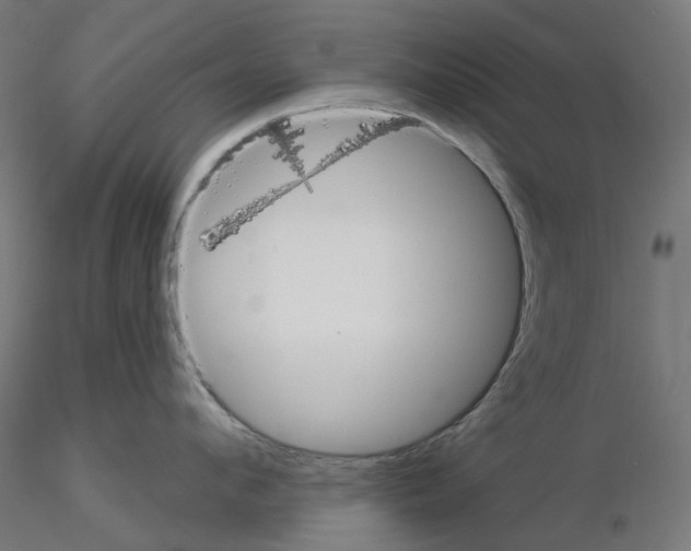 X0000115550912200912181549