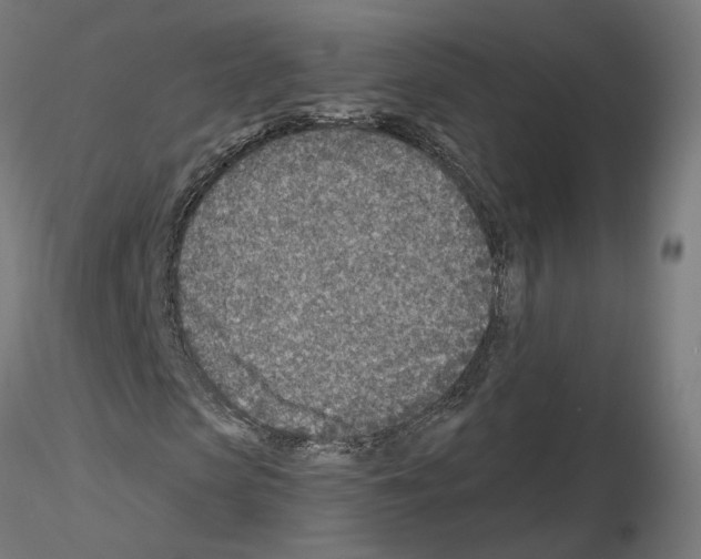 X0000115550913200912181549