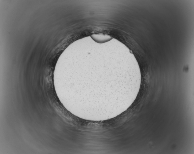 X0000115550914200912181549