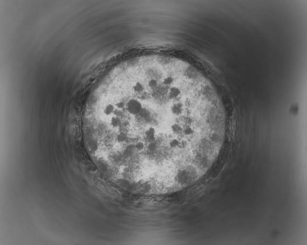 X0000115550917200912181549