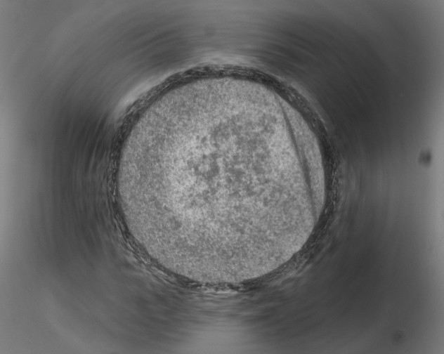 X0000115550919200912181549