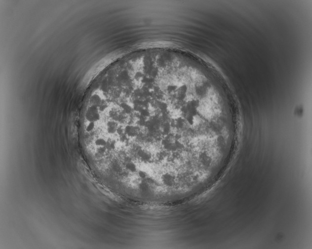 X0000115550921200912181549