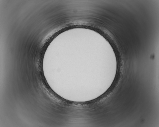 X0000115550922200912181549