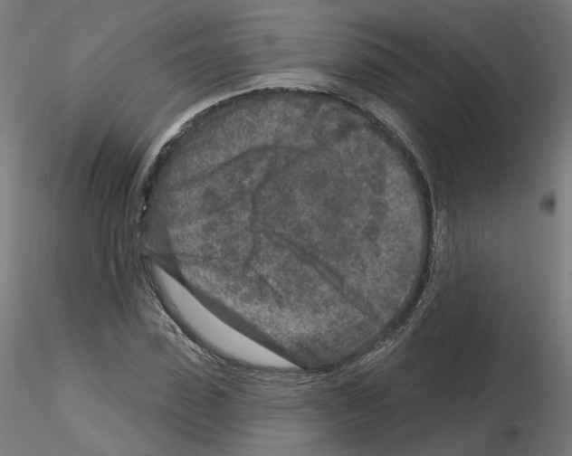 X0000115550923200912181549