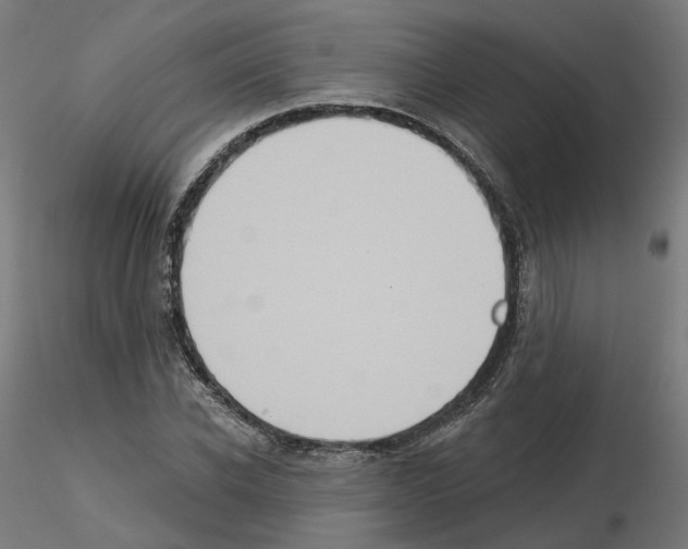 X0000115550926200912181549