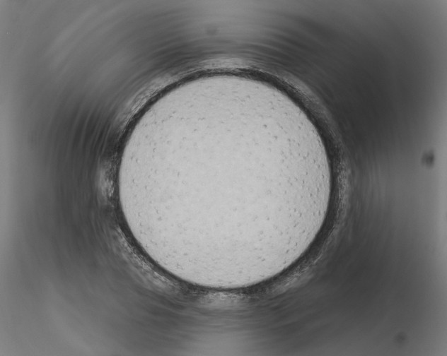 X0000115550929200912181549