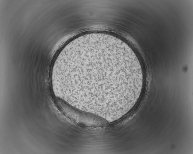 X0000115550930200912181549