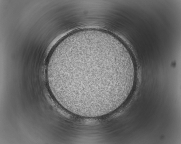 X0000115550933200912181549