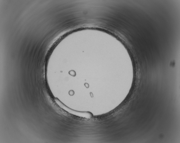 X0000115550934200912181549