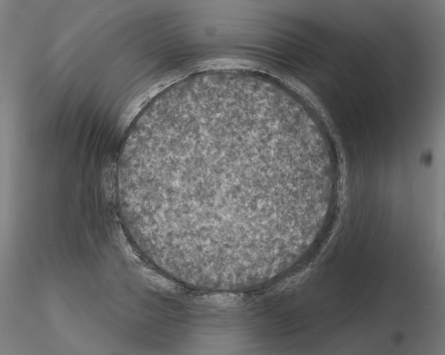 X0000115550937200912181549