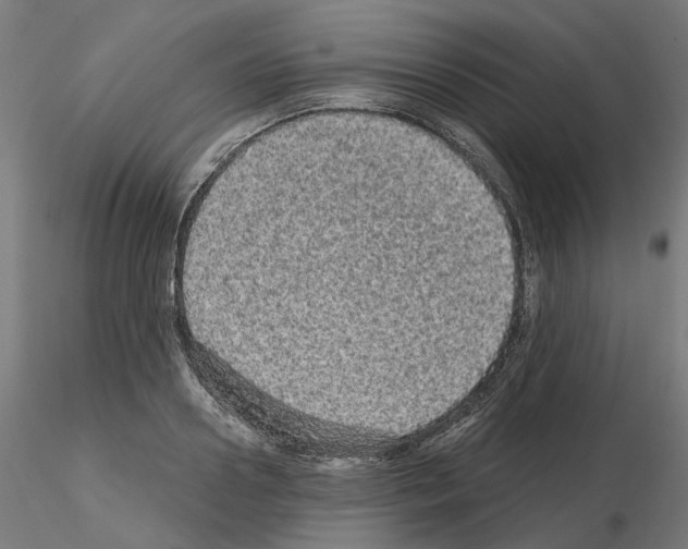 X0000115550938200912181549