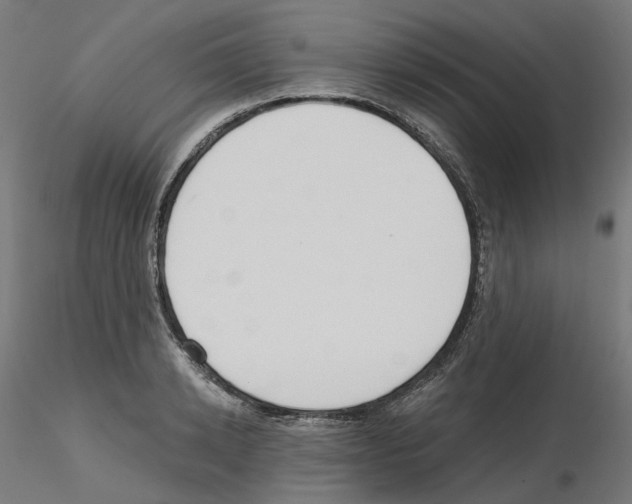 X0000115550942200912181549