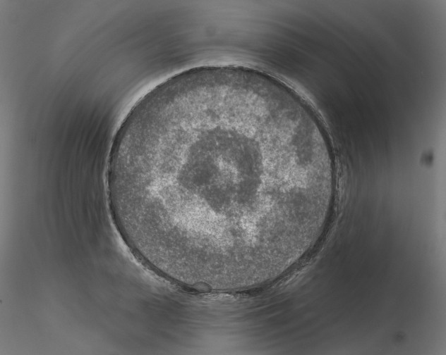 X0000115550943200912181549