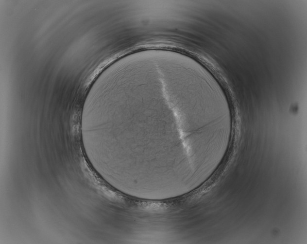 X0000115550945200912181549