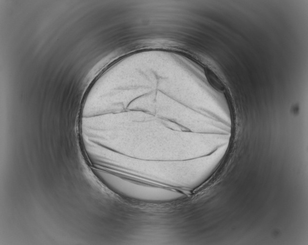 X0000115550946200912181549