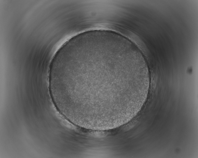 X0000115550950200912181549