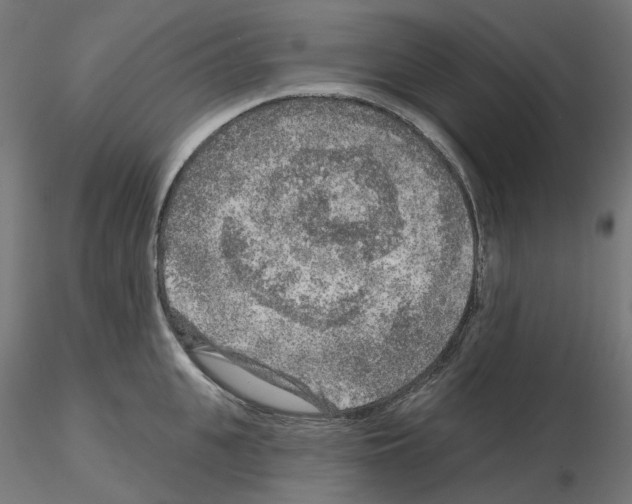 X0000115550951200912181549