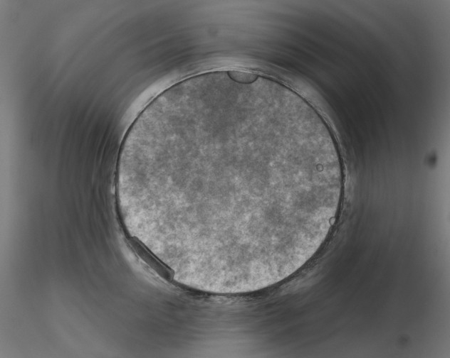 X0000115550954200912181549