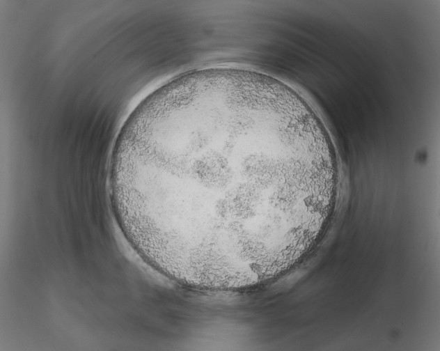 X0000115550957200912181549