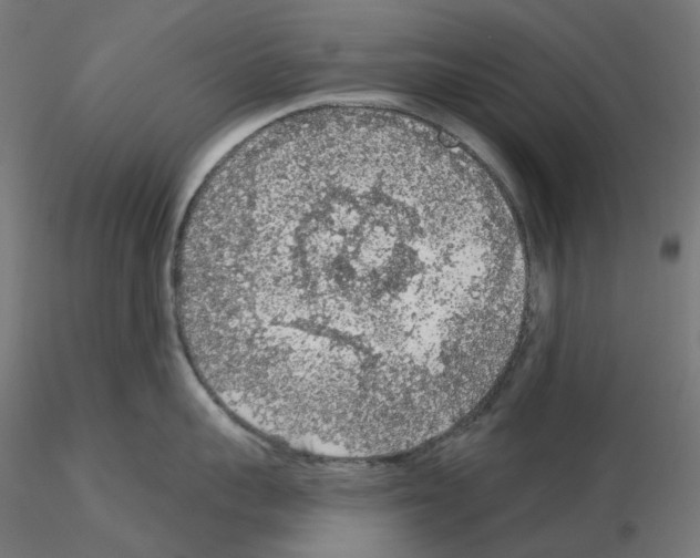 X0000115550959200912181549