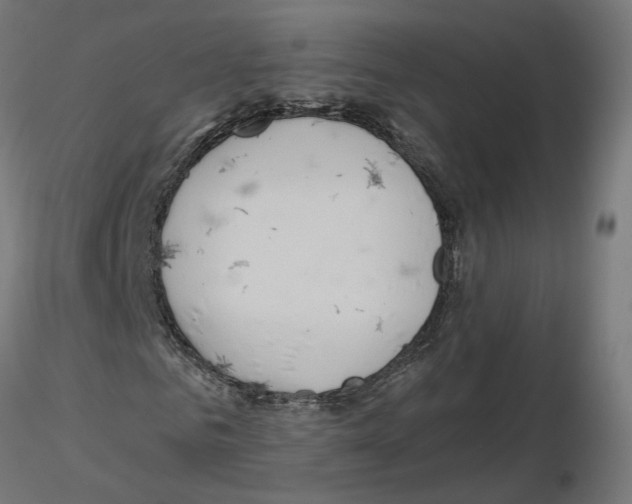 X0000115550961200912181549