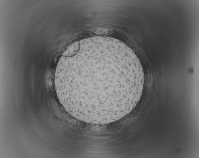 X0000115550962200912181549