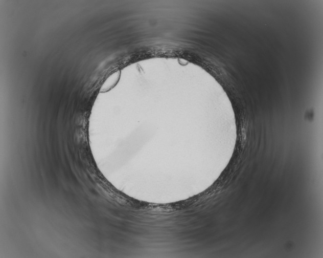 X0000115550964200912181549