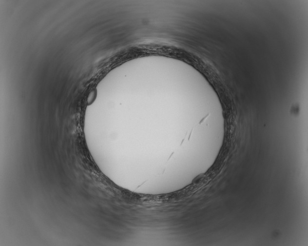 X0000115550965200912181549