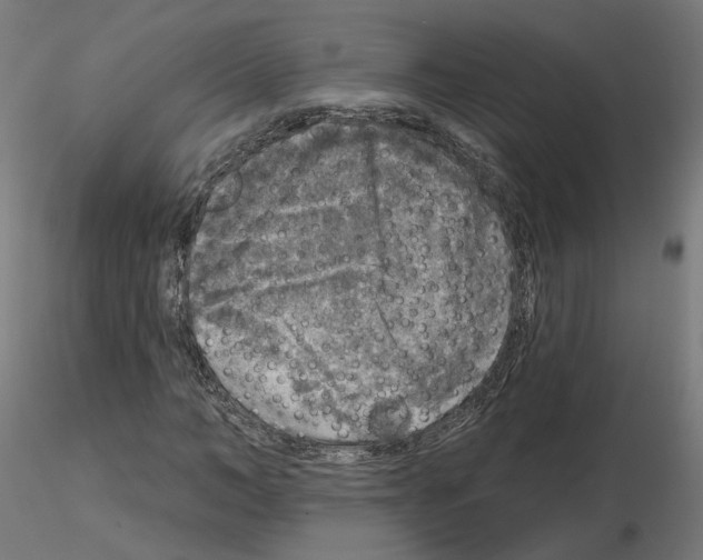 X0000115550966200912181549