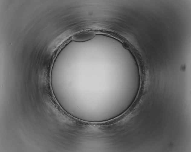 X0000115550969200912181549