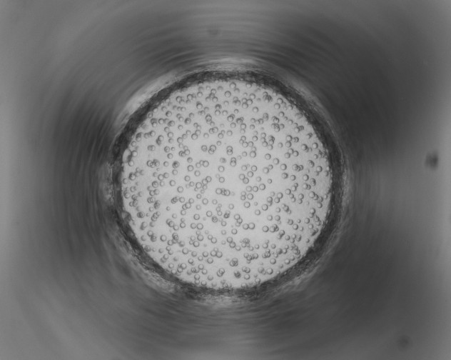 X0000115550970200912181549