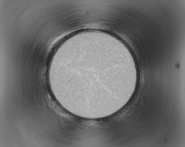 X0000115550971200912181549