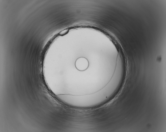 X0000115550973200912181549