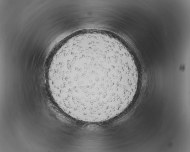 X0000115550974200912181549