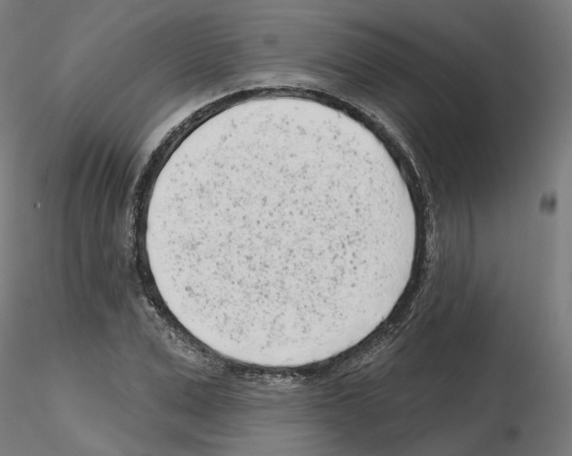 X0000115550975200912181549